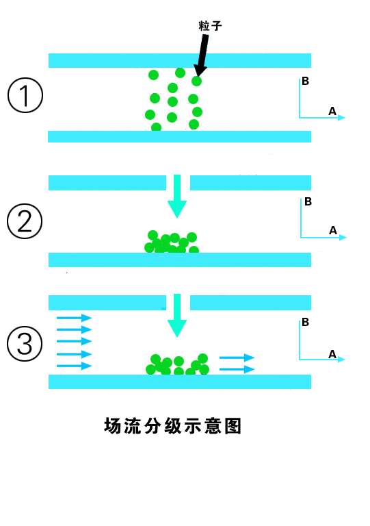 场流分级